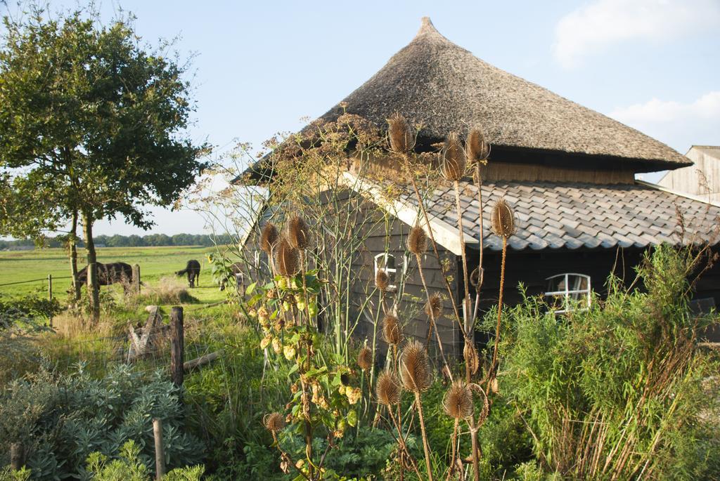 Bed and Breakfast De Bolderie Markelo Exteriér fotografie